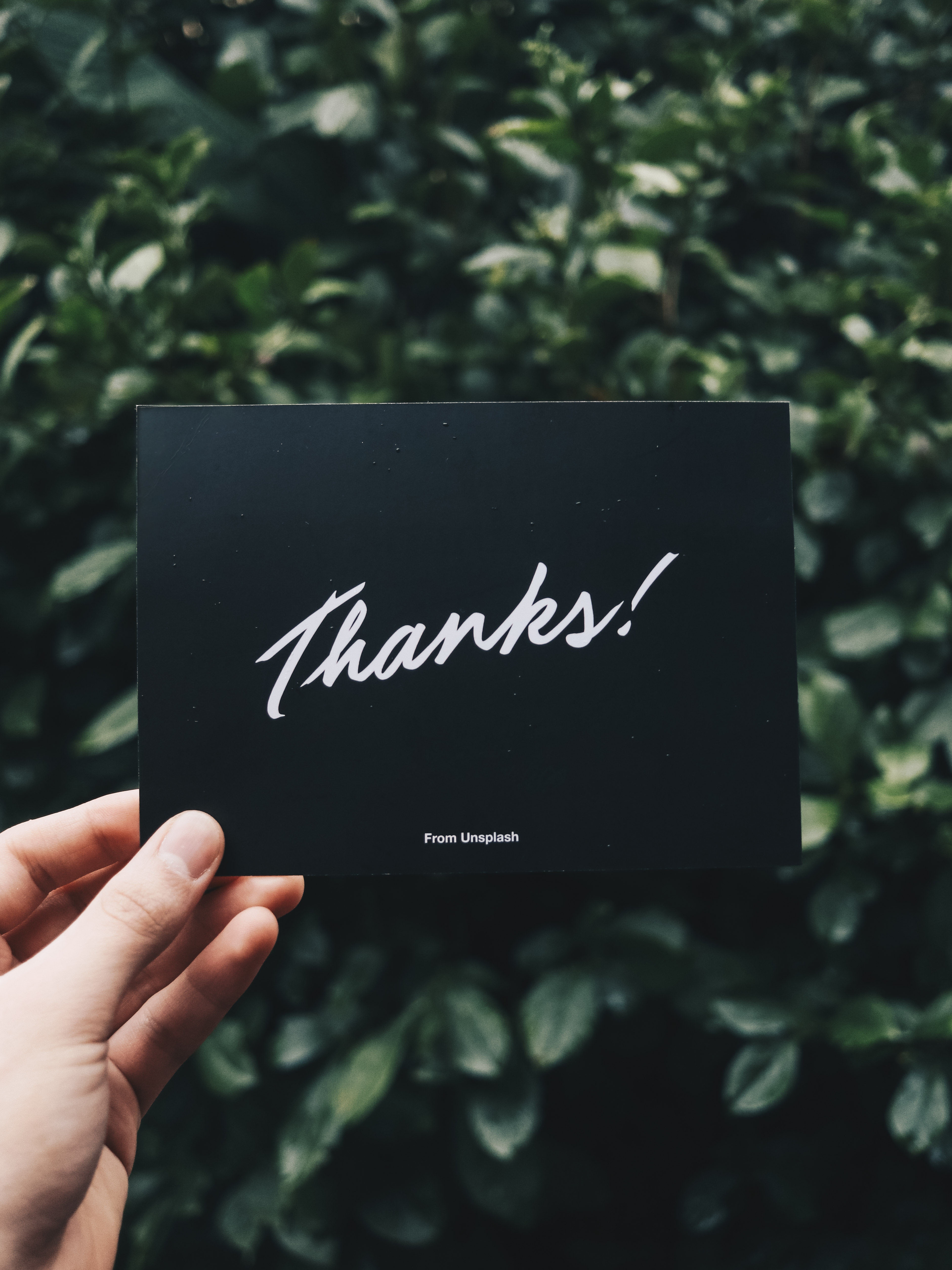 hand holding greeting card that says "Thanks!"