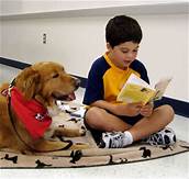 Therapy dog reading