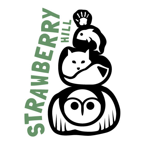 Strawberry Hill logo