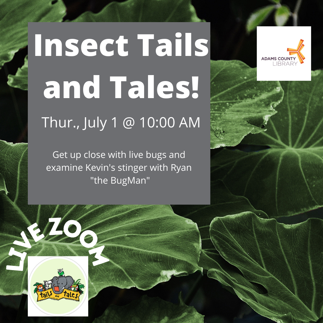 Insect Tails and Tales 