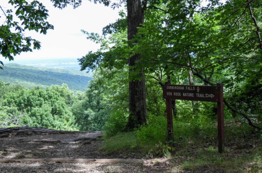 Catoctin Mountain park