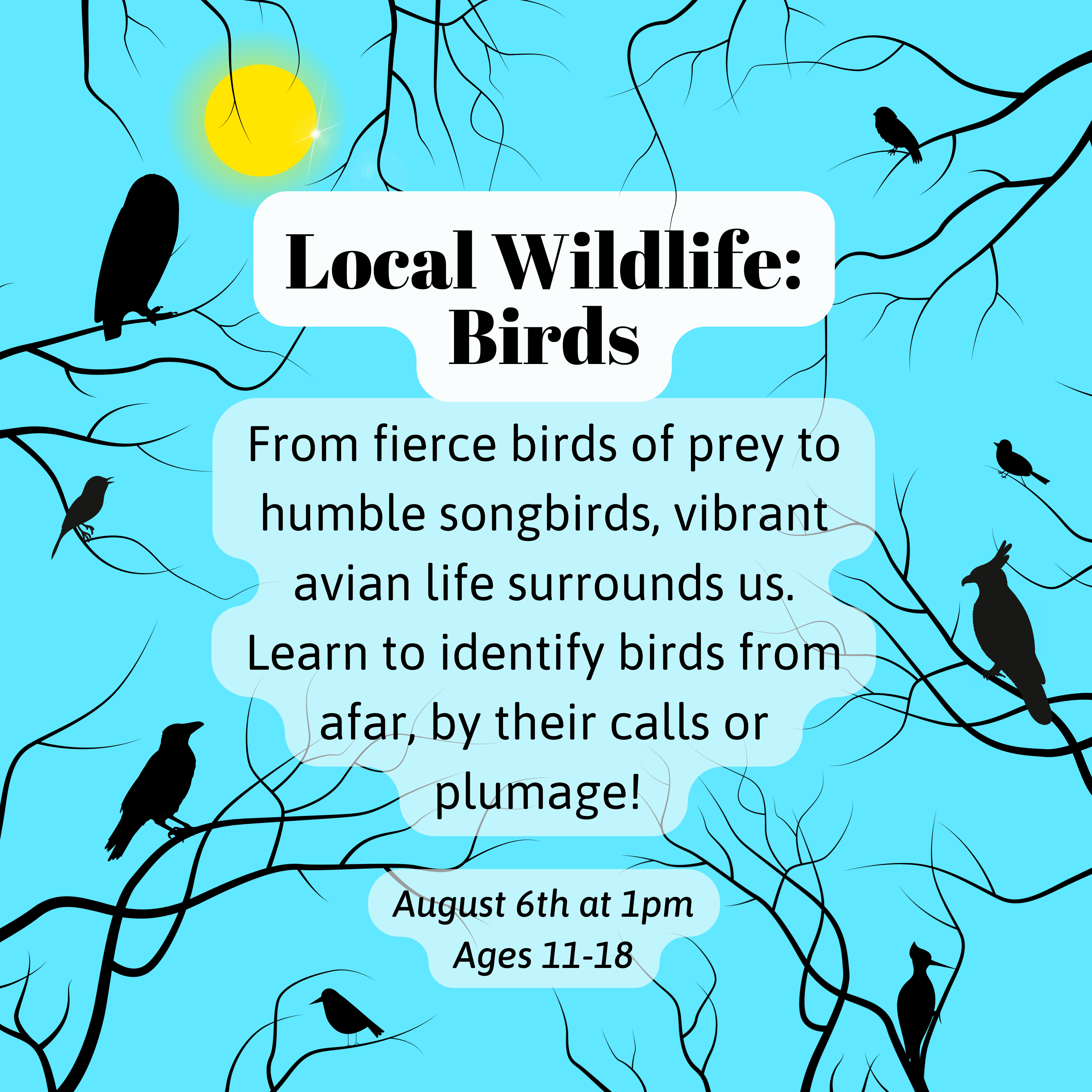 Image of a blue sky and bright sun with the silhouettes of branches and birds. Text reads: Local Wildlife: Birds! From fierce birds of prey to humble songbirds, vibrant avian life surrounds us. Learn to identify birds from afar, by their calls or plumage! August 6th at 1pm. Ages 11-18.