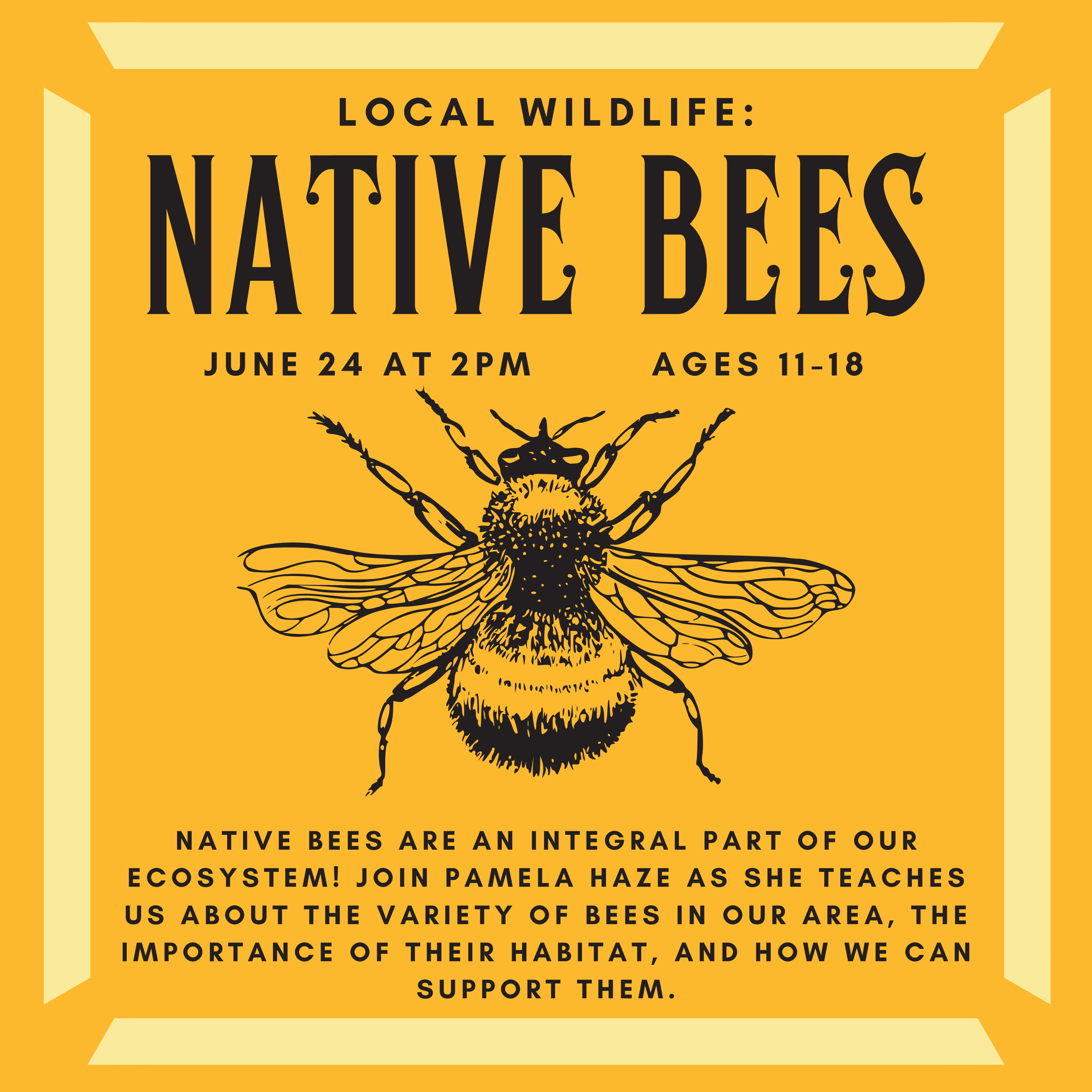 A yellow background with the image of a bee and text that reads: Local Wildlife: Native Bees! June 24th at 2pm. Ages 11-18. Native bees are an integral part of our ecosystem! Join Pamela Haze as she teaches us about the variety of bees in our area, the importance of their habitat, and how we can support them.