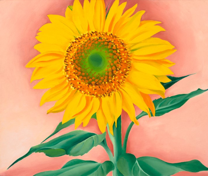Georgia O'Keeffe sunflower painting