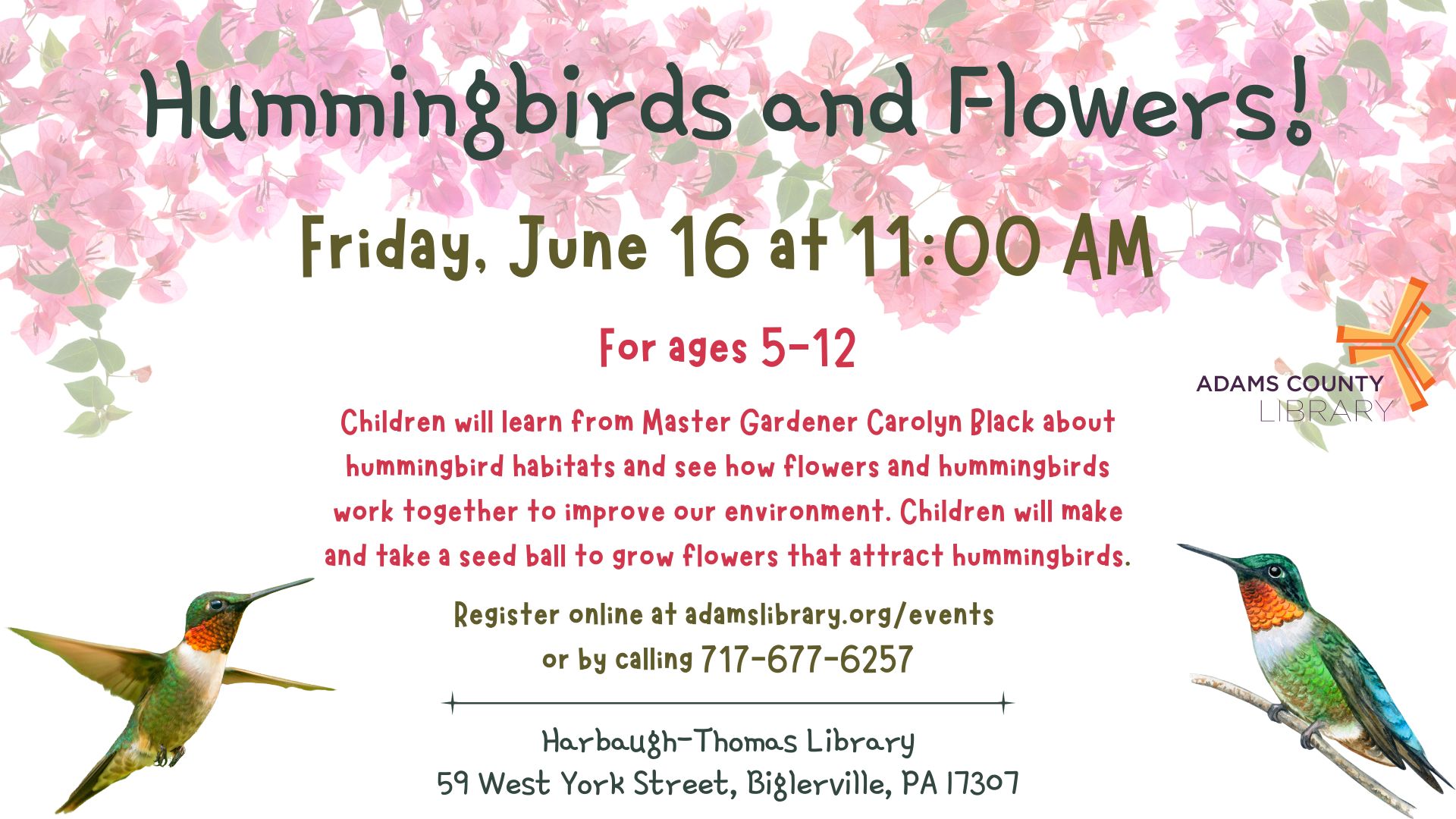 Hummingbirds and Flowers Friday June 16 at 11:00 AM