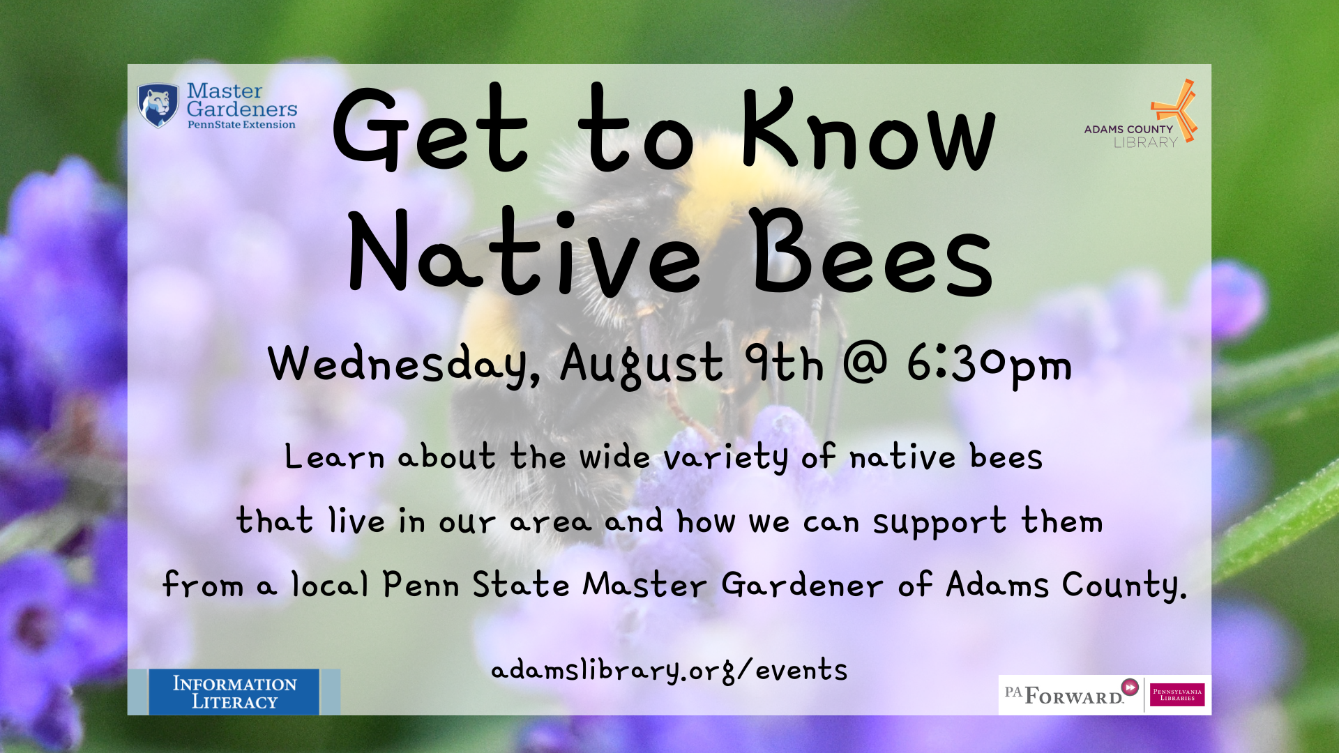 Get to Know Native Bees