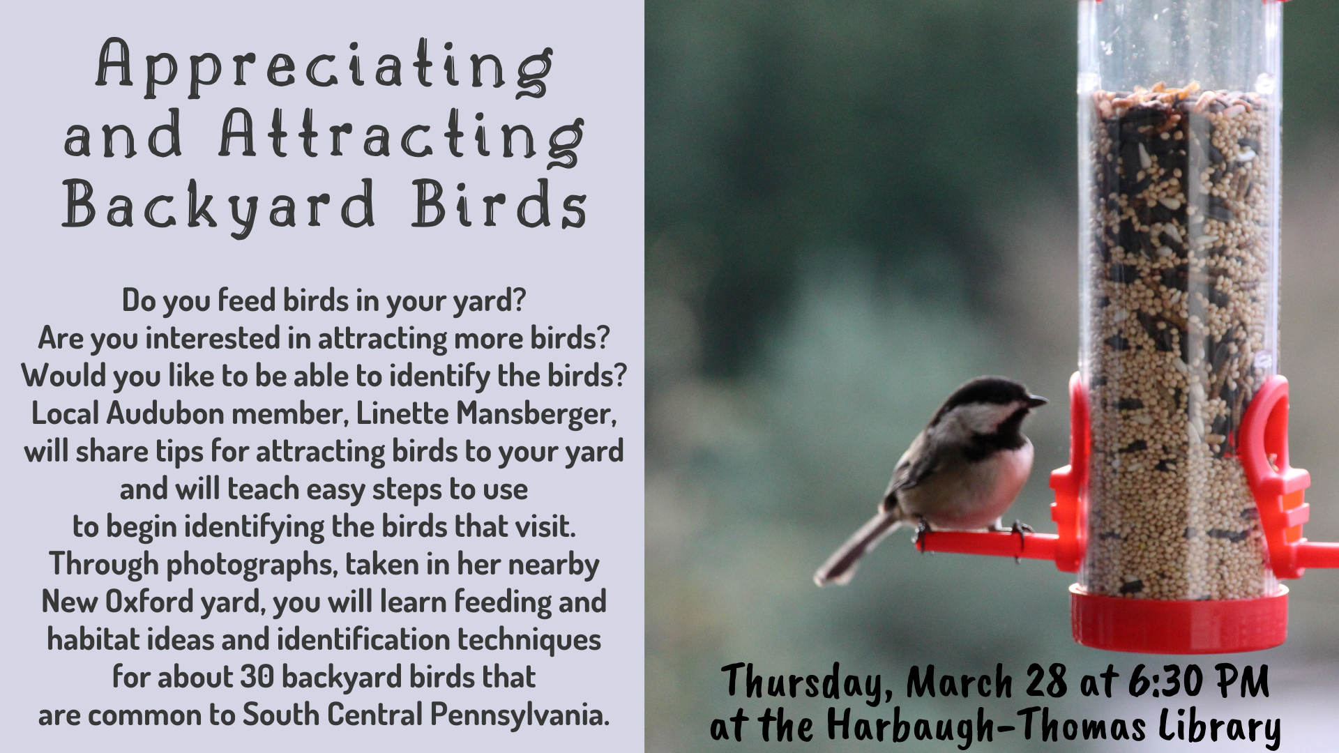 Appreciating and Attracting Backyard Birds