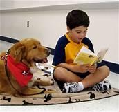 Therapy dog reading