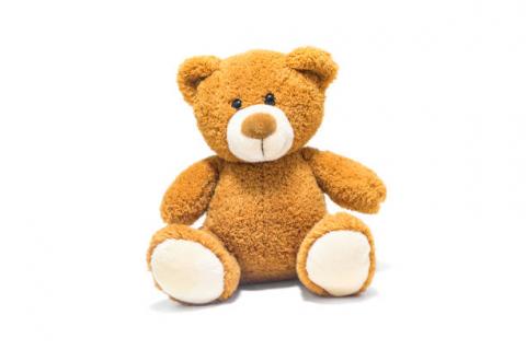 teddy