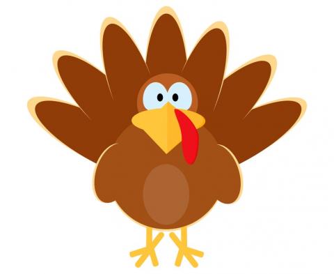 cartoon turkey
