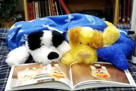 Stuffed Animals