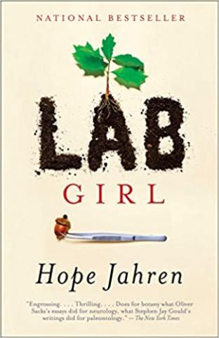 Tree seedling with leaves growing out of the word LAB. The letters LAB are composed of soil.