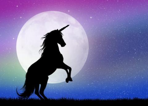 Picture of a unicorn