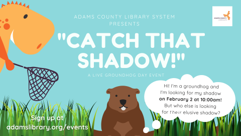 Catch That Shadow Poster