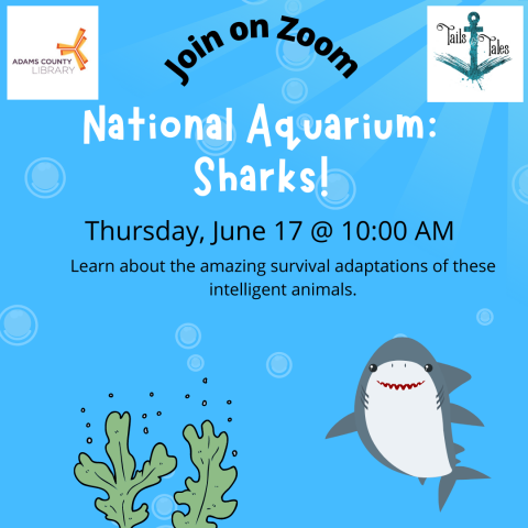 National Aquarium: Sharks!