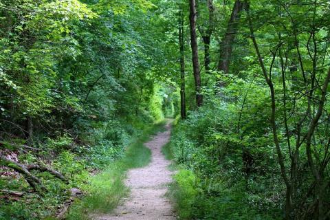 Nixon Park
