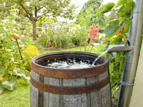 rain barrel