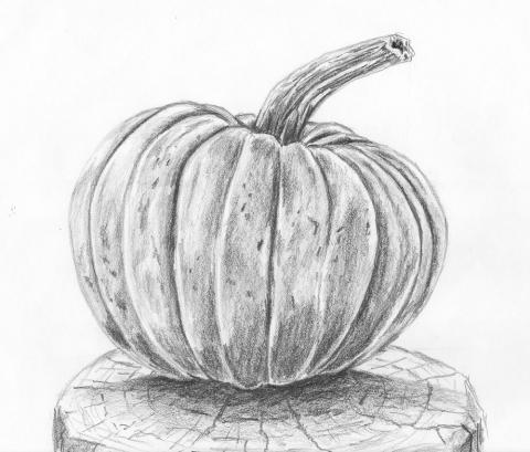 drawing of a pumpkin
