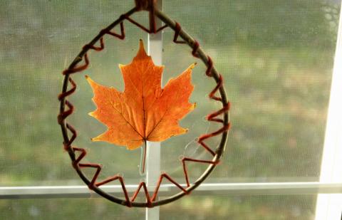 laced leaf suncatcher