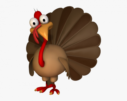 turkey