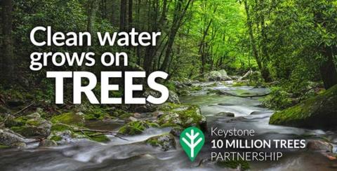 Keystone 10 million trees logo