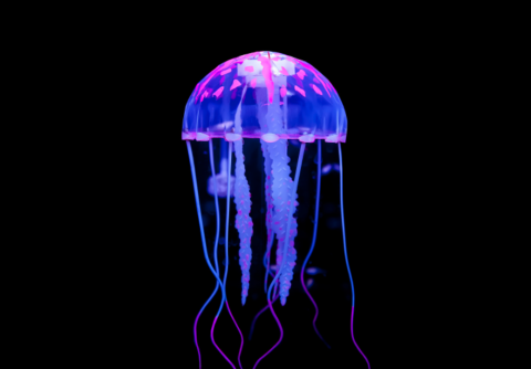 Don't Be Jelly-Fish!