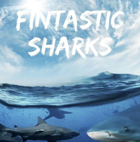 Fin-tastic Sharks
