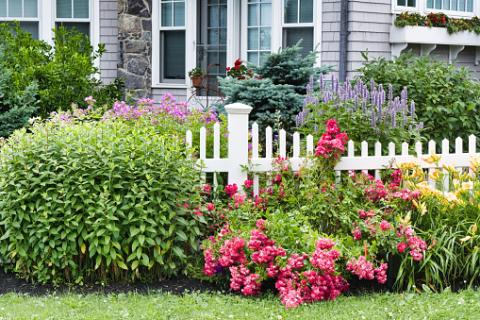 Cottage garden