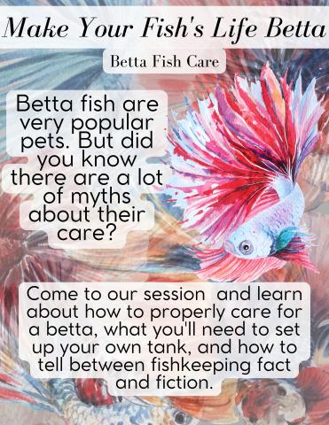A picture of a colorful long finned betta fish, with text accompanying it that reads: Make Your Fish's Life Betta. Betta Fish Care. Betta fish are very popular pets. But did you know there are a lot of myths about their care? Come to our session  and learn about how to properly care for a betta, what you'll need to set up your own tank, and how to tell between fishkeeping fact and fiction."