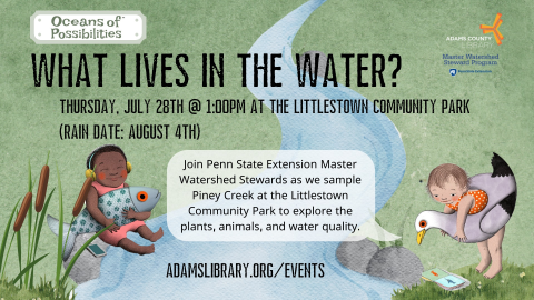 What Lives in the Water?