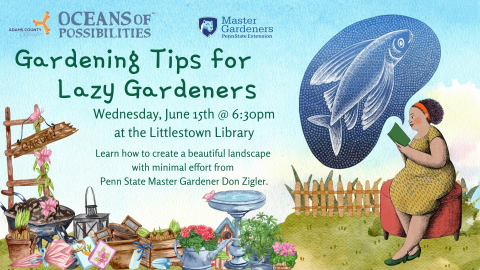 Gardening Tips for Lazy Gardeners