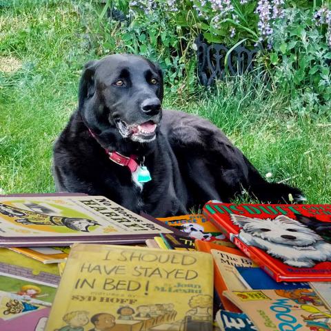 Read to a Therapy Dog