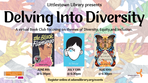 Delving Into Diversity Summer