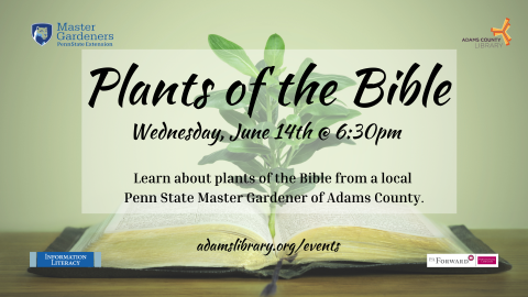 Plants of the Bible