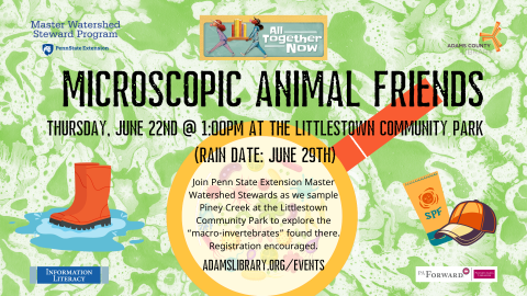 Microscopic Animal Friends