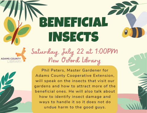 butterflies and bees