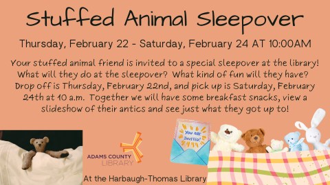 Stuffed Animal Sleepover