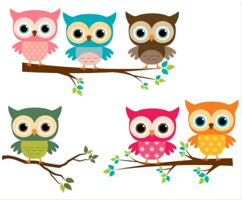cartoon owls