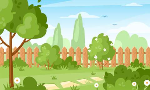 backyard