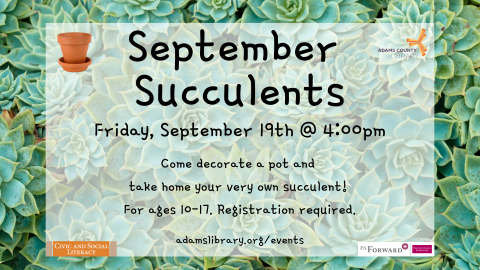 September Succulents