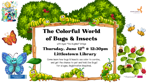 2025-06-12 LTN Colorful World of Bugs
