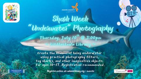 2025-07-10 LTN Shark Week "Underwater" Photography