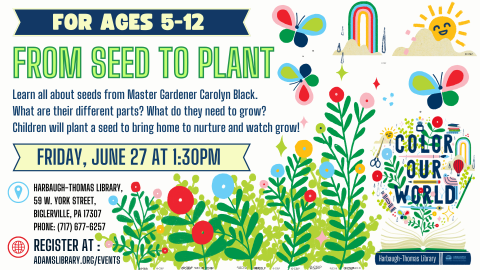 From Seed to Plant