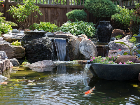 Ecosystem pond