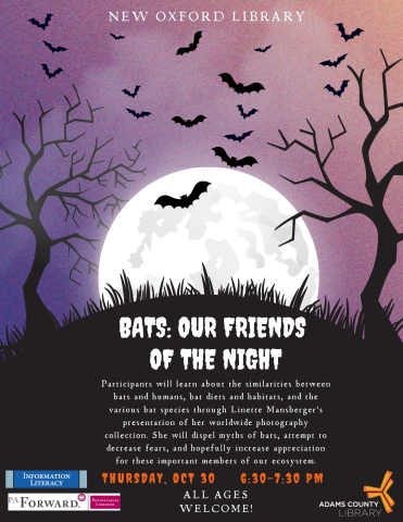 bats silhouetted against the moon