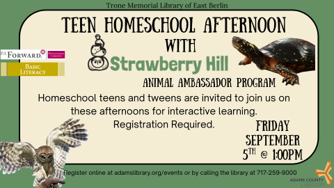 Image of turtle and owl accompanying text