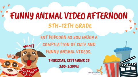 Funny Animal Video Afternoon