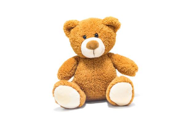 teddy