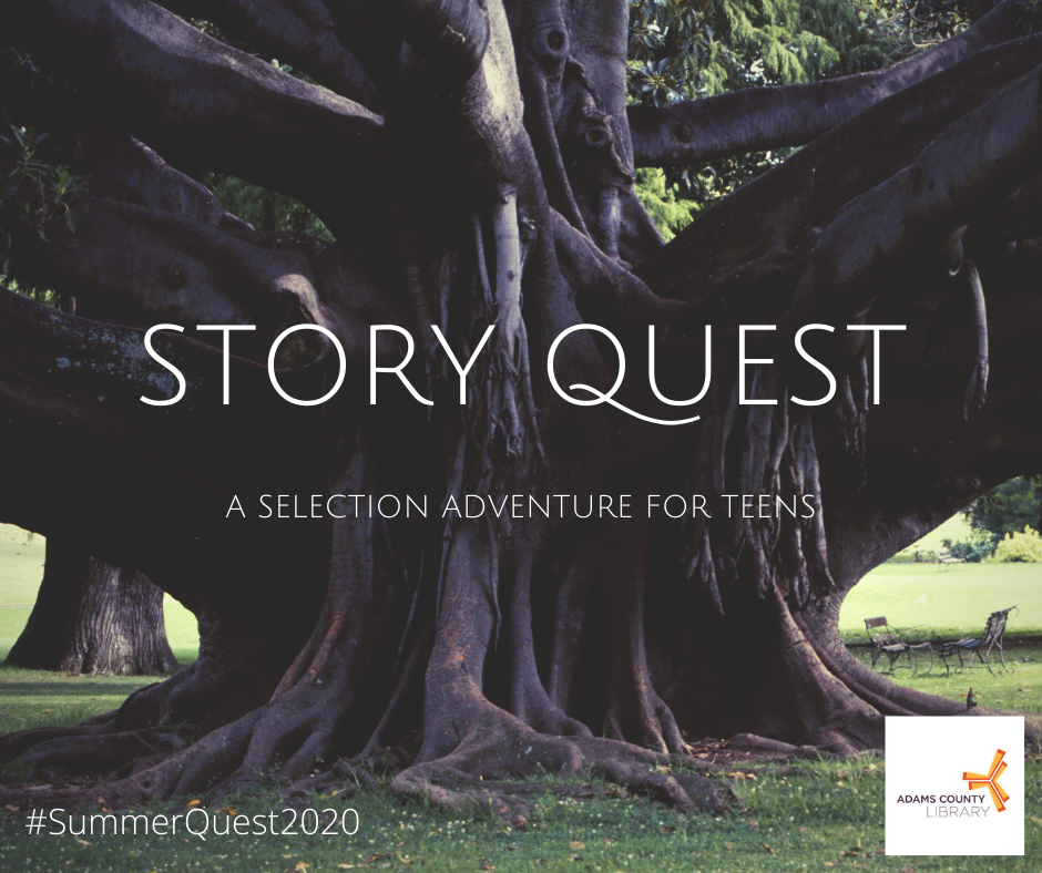 Story Quest: A Selective Adventure for Teens #SummerQuest2020 at the Adams County Library System.