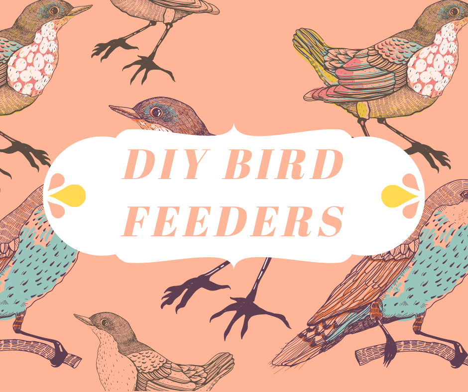 DIY bird feeders